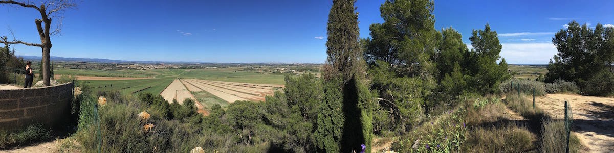 A short description about the picture goes here